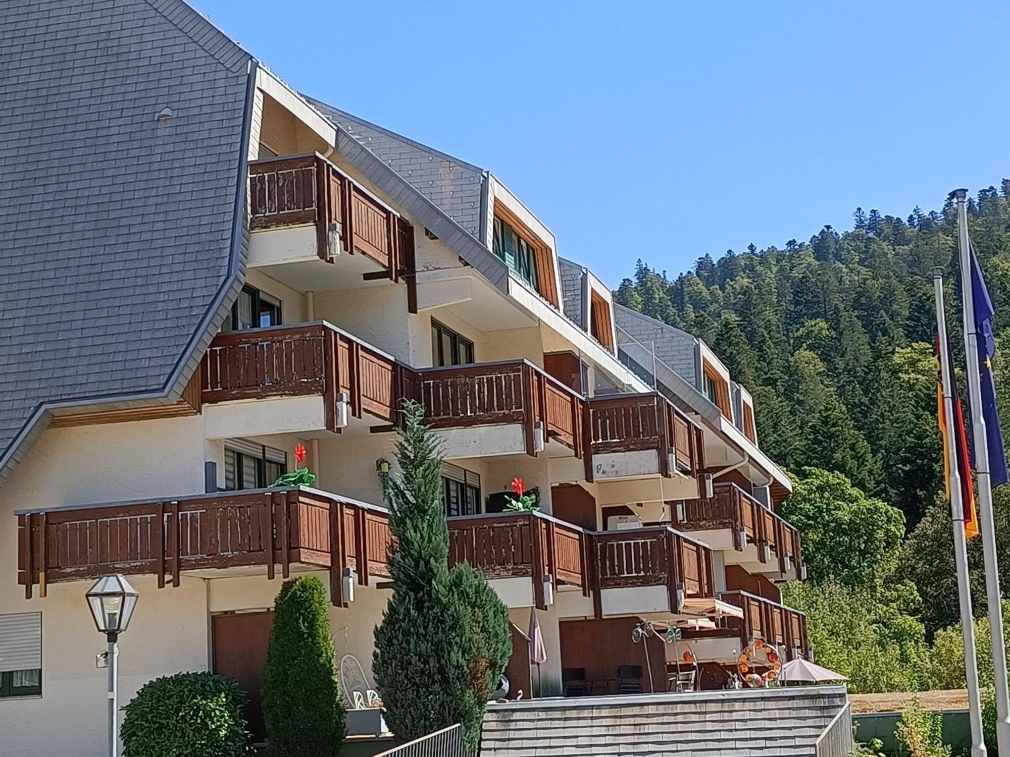 Sonnenstrahl Apartment Todtmoos Ngoại thất bức ảnh